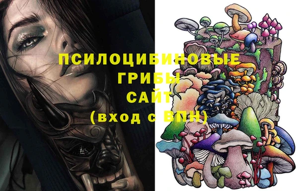 прущие грибы Алексин